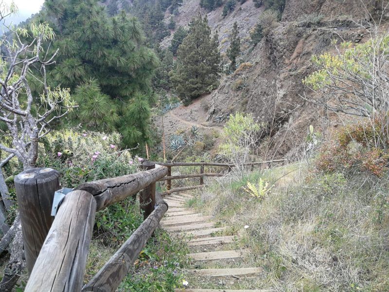 Parte del sendero del Mirador de la Cancelita