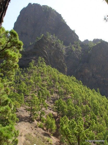 LA PALMA. MIRADOR DE LA CUMBRECITA