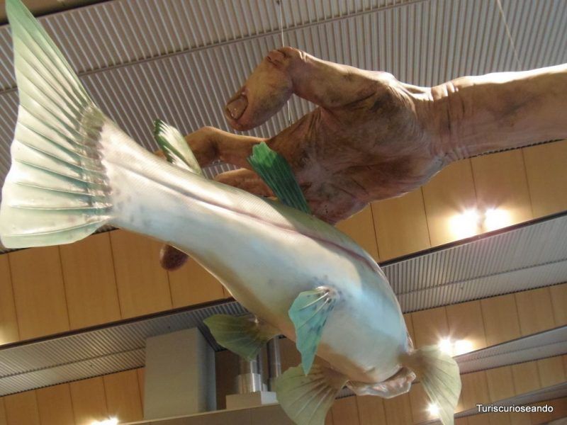 THE HOBBIT INVADE WELLINGTON