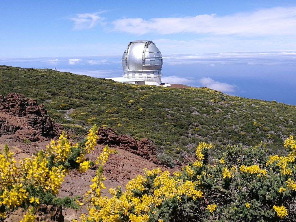 RUTA FESTIVAL INTERNACIONAL DE SENDERISMO Y MONTAÑA. LA PALMA