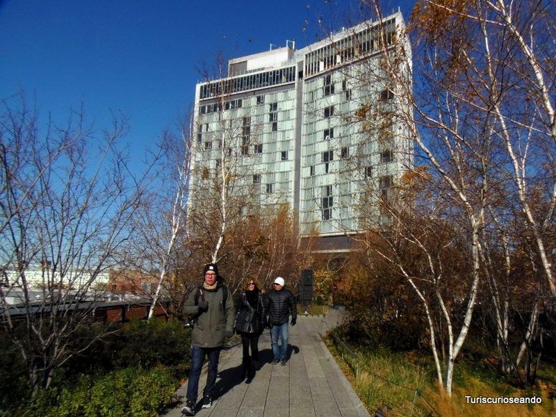 CHELSEA Y EL HIGH LINE. TURISCURIOSA EN USA