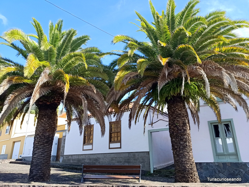 Qué ver en Tegueste: Plaza de La Arañita