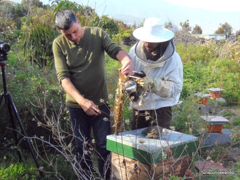 La Palma: los sabores de la isla bonita