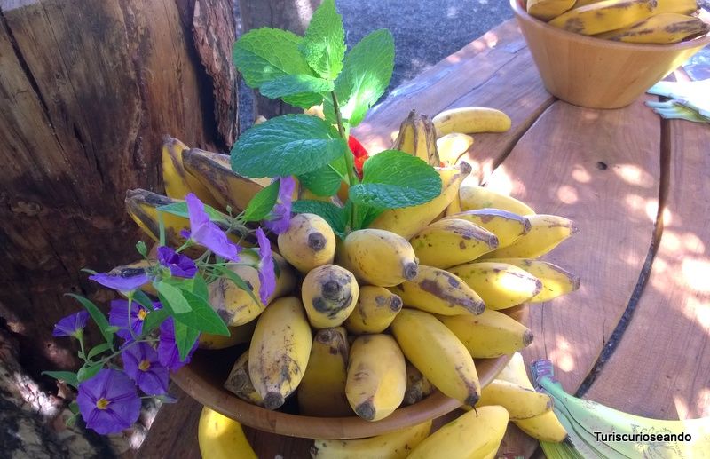 La Palma: los sabores de la isla bonita
