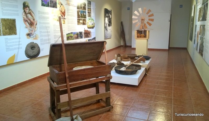 La Palma: los sabores de la isla bonita