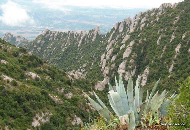 Visita a Montserrat en un día