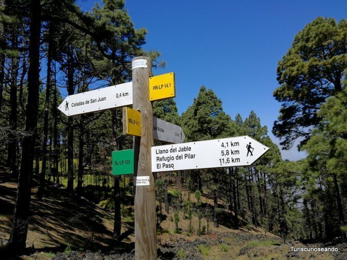 La Palma: coladas de San Juan y el Corazoncillo en flor