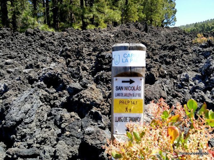 La Palma: coladas de San Juan y el Corazoncillo en flor