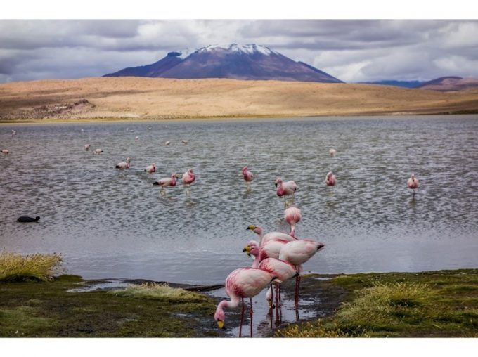Salar de Uyuni: 3 días cruzando el mayor desierto de sal del mundo