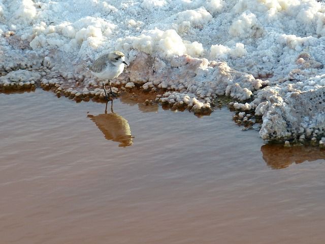 El Salar de Atacama en San Pedro de Atacama