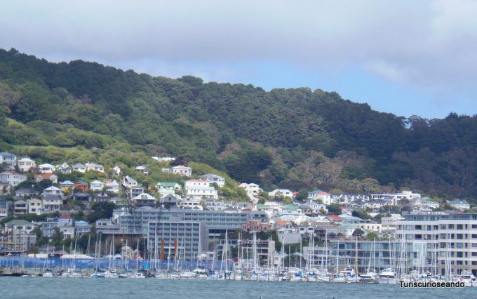 WELLINGTON NUEVA ZELANDA
