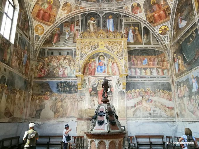 Curiosidades e imprescindibles de Padua