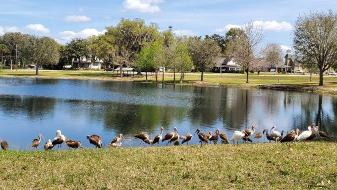 Recorrer Florida: ruta 3, desde Orlando hasta Ocala