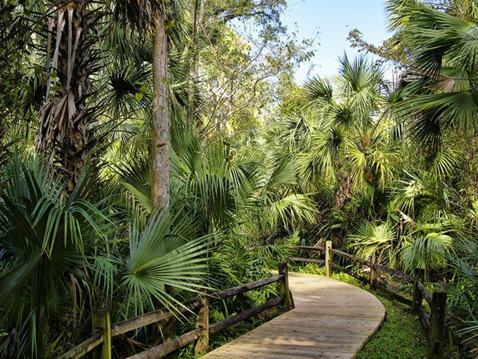 Conocer Florida: ruta 3, desde Orlando hasta Ocala