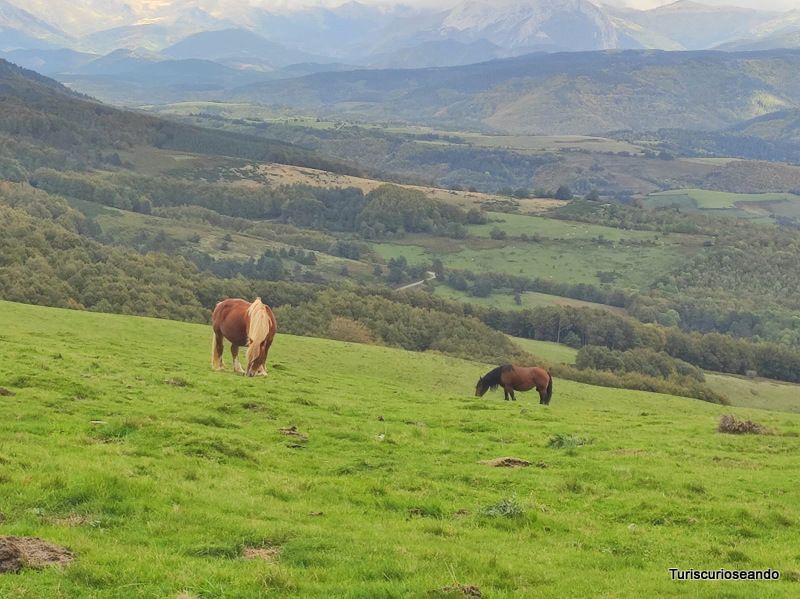 Visitar Navarra en otoño: Pamplona, Selva de Irati y Valles del Roncal y Belagua