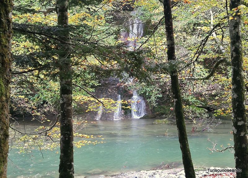 Visitar Navarra en otoño: Pamplona, Selva de Irati y Valles del Roncal y Belagua