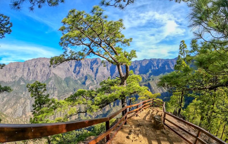 Mirador sobre la Caldera de Taburiente - La Palma