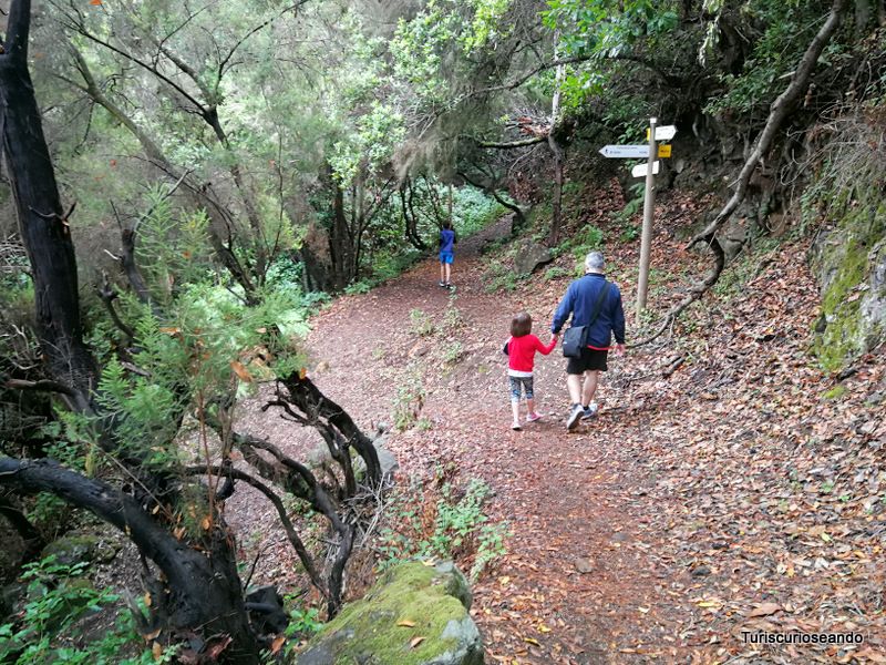 Tramo ruta de las Fuentes, en Breña Alta, La Palma