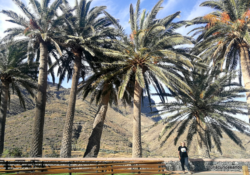 consejos para organizar tu viaje a La Gomera - Alojera