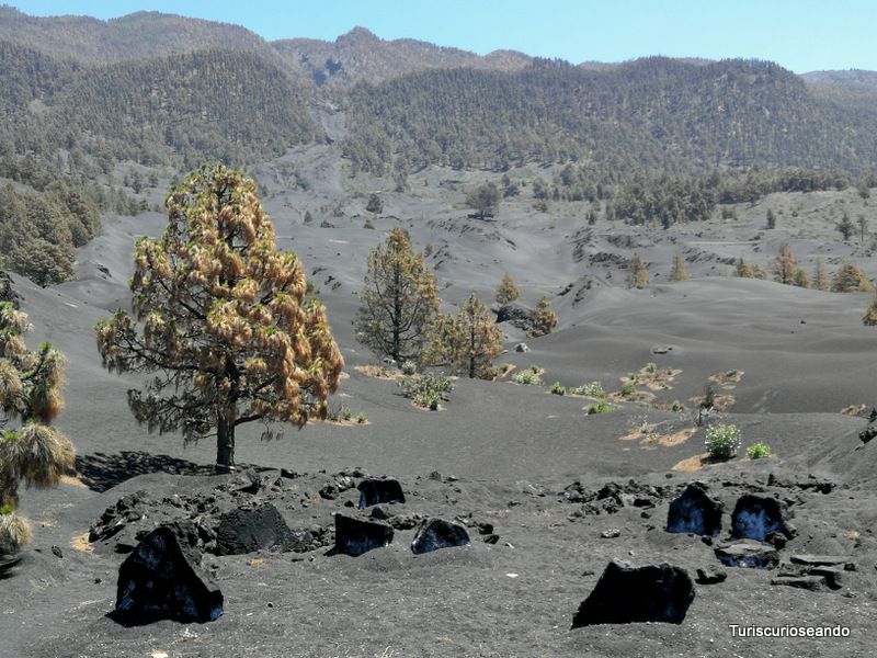 Cómo ver el nuevo volcán de La Palma: el Tajogaite