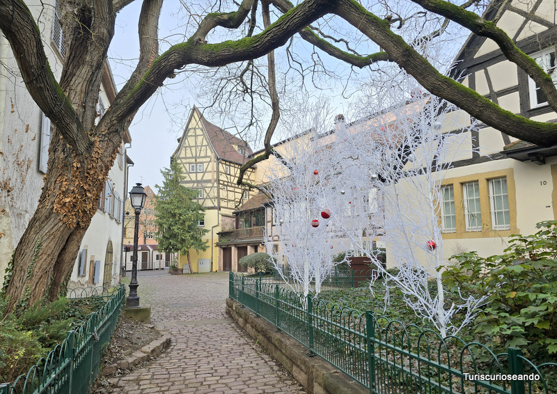 Visitar Colmar y navidad de cuento (Francia)
