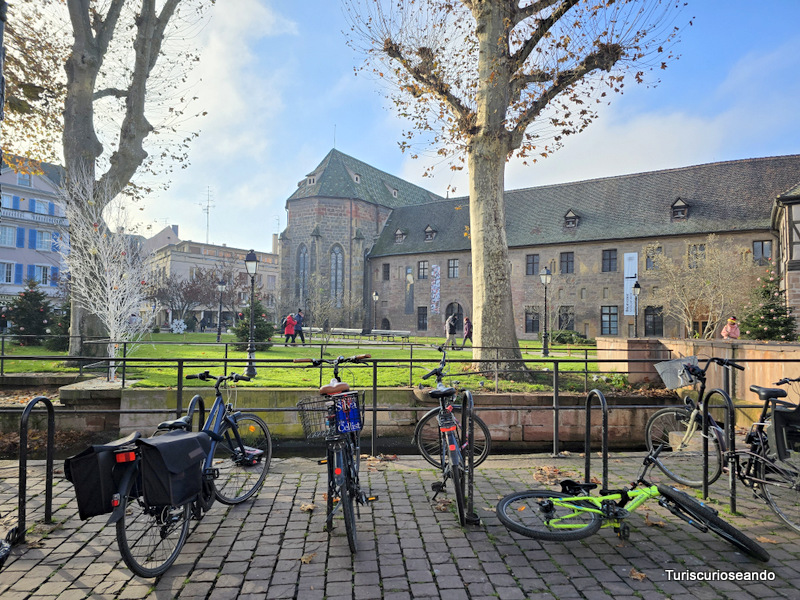 Visitar Colmar y navidad de cuento (Francia)