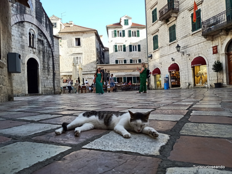 8 días en Bosnia, Croacia, Montenegro y Albania. Kotor