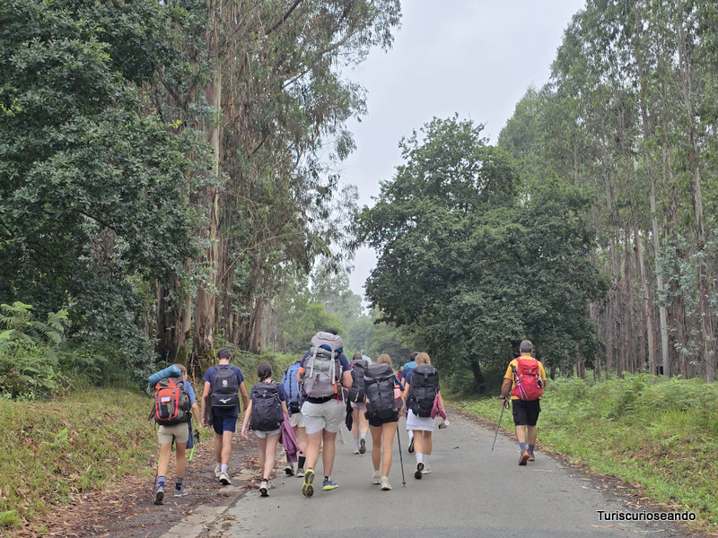 Etapa O Pedrouzo a Santiago de Compostela. Grupo de jóvenes haciendo el camino