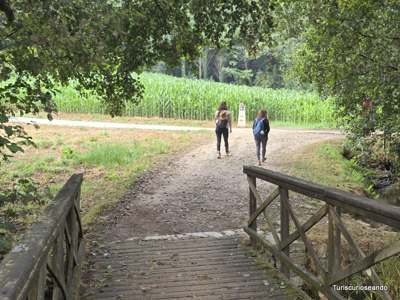 Etapa O Pedrouzo a Santiago de Compostela. Lavacolla