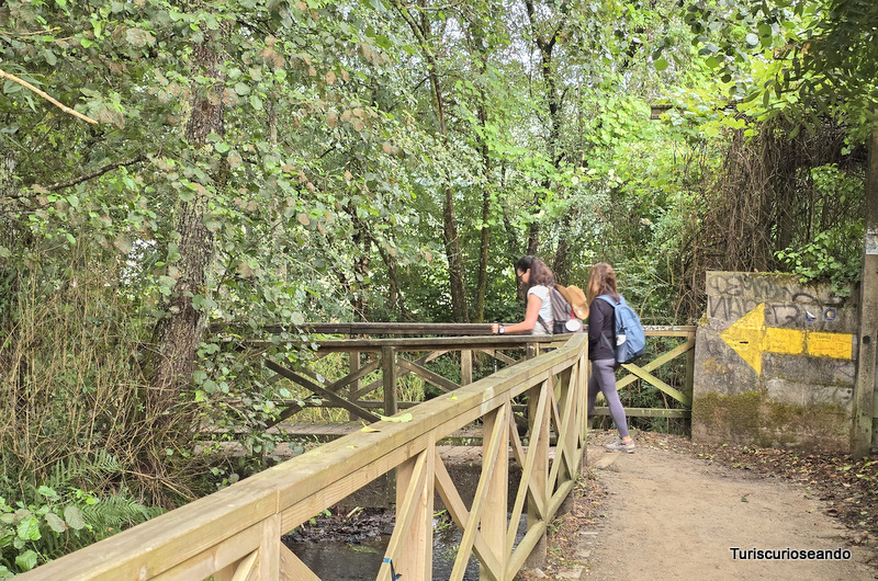 Etapa O Pedrouzo a Santiago de Compostela. Puente sobre riachuelo en Lavacolla